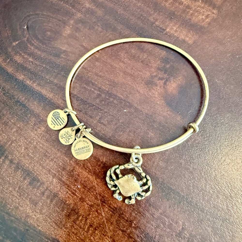 Alex and Ani Bangle Bracelet